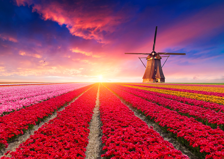 Spring holidays homepage Jan Krediet